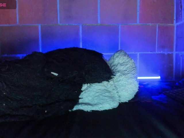 cata-anngel live cam on BongaCams