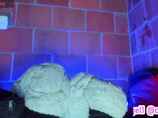 cata-anngel live cam on BongaCams