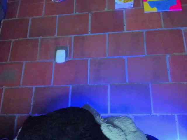 cata-anngel webcam