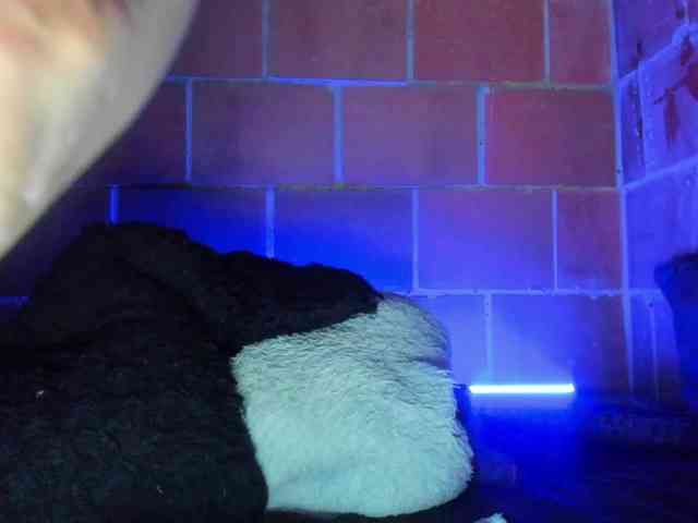 cata-anngel webcam