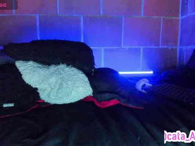 cata-anngel webcam