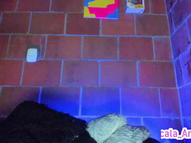cata-anngel webcam