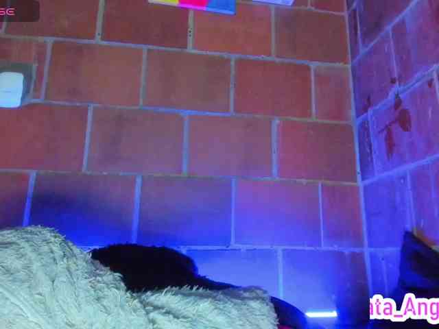 cata-anngel webcam