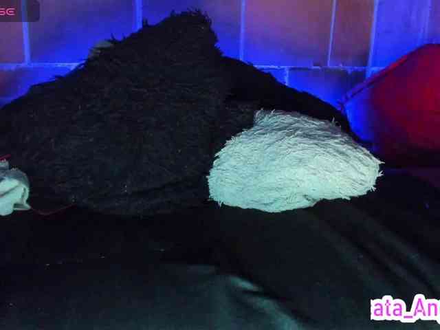 cata-anngel webcam