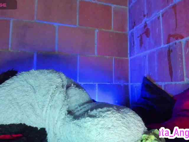 cata-anngel webcam