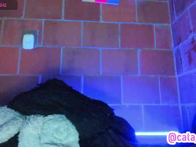 cata-anngel webcam