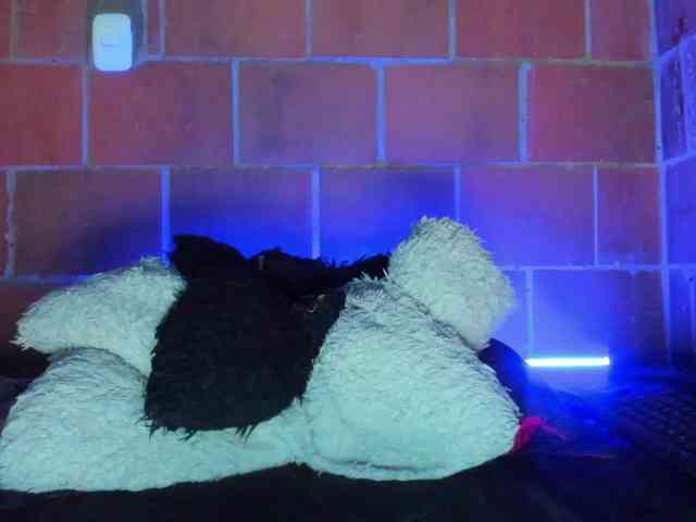 cata-anngel Live Webcam on BongaCams