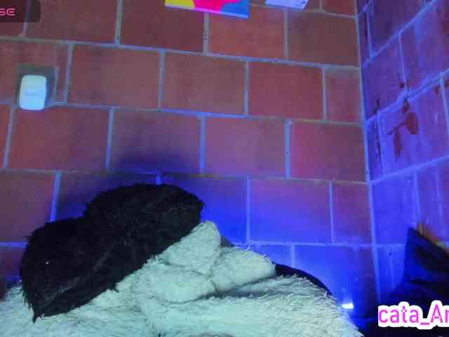 cata-anngel webcam