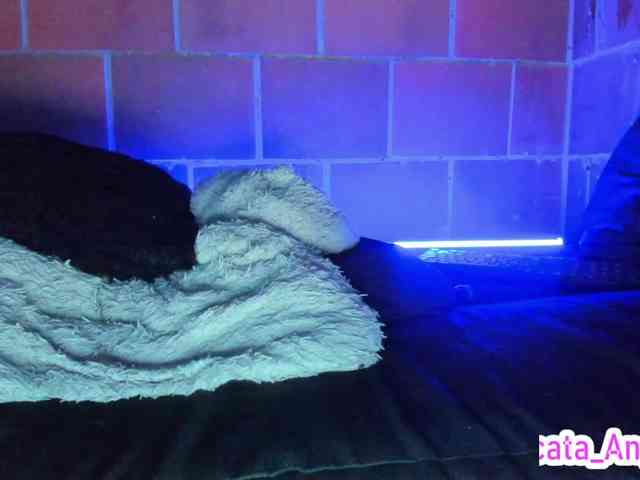 cata-anngel webcam
