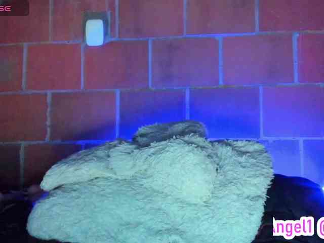 cata-anngel webcam