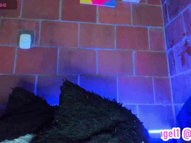 cata-anngel webcam