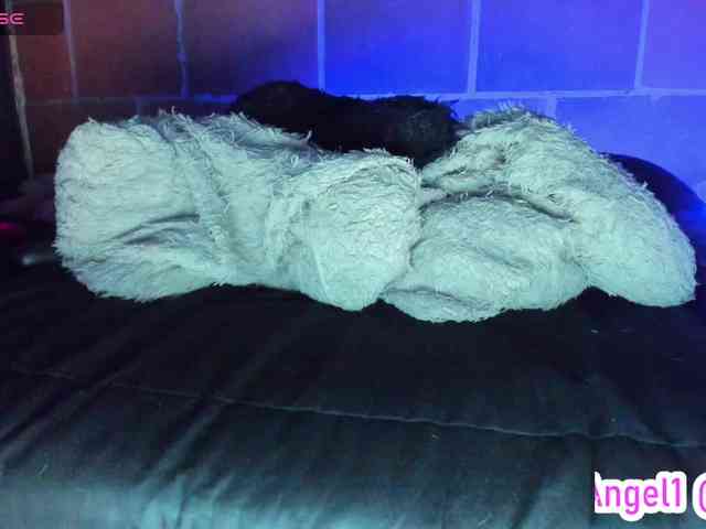 cata-anngel webcam