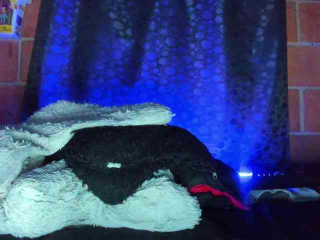 cata-anngel webcam