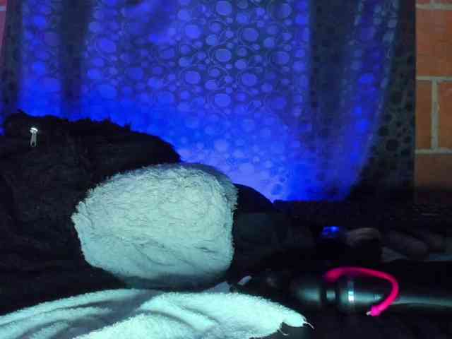 cata-anngel webcam