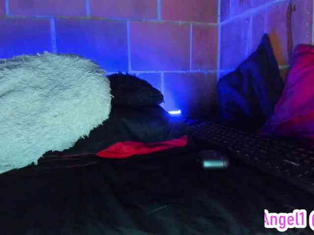 cata-anngel webcam