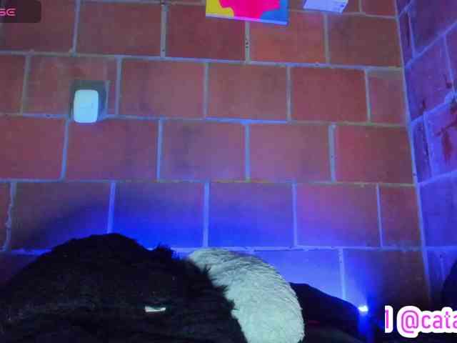 cata-anngel webcam