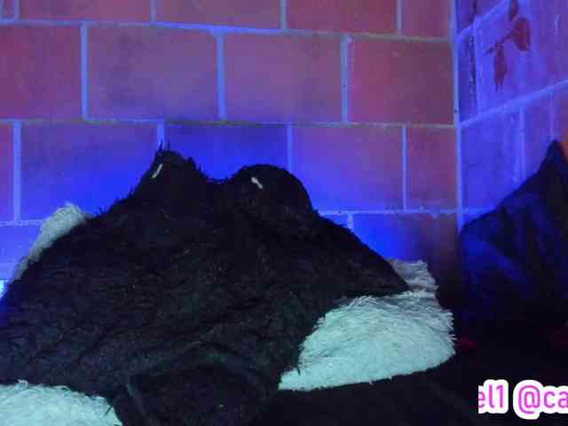 cata-anngel webcam