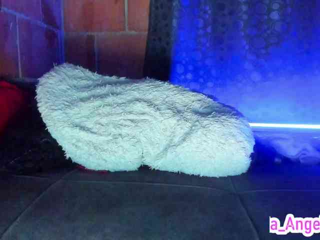 cata-anngel webcam