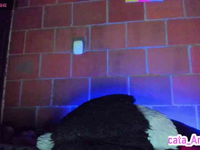 cata-anngel webcam
