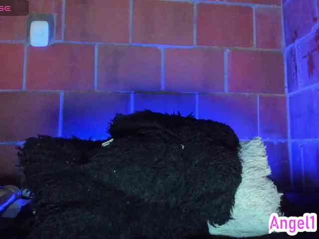 cata-anngel webcam