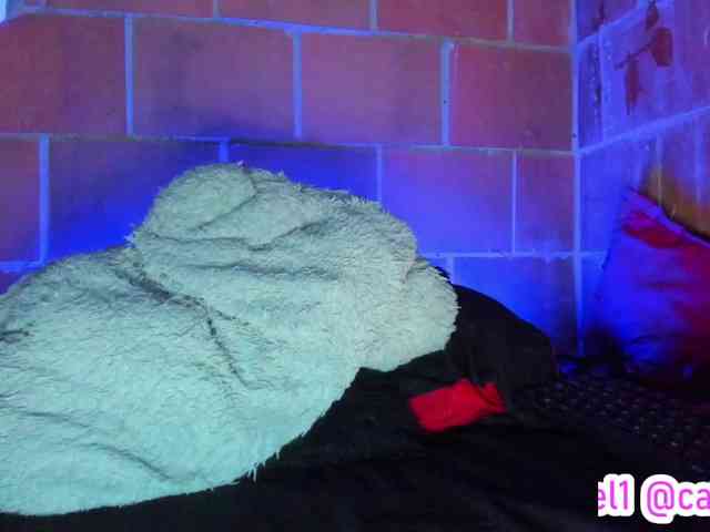 cata-anngel webcam