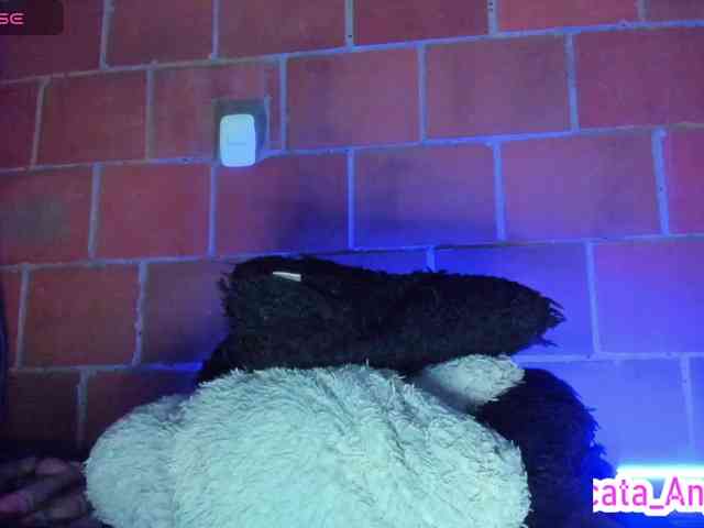 cata-anngel webcam