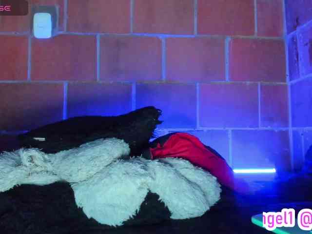 cata-anngel webcam
