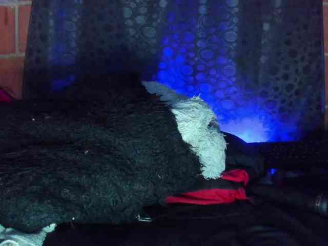cata-anngel webcam