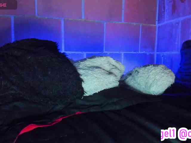 cata-anngel webcam
