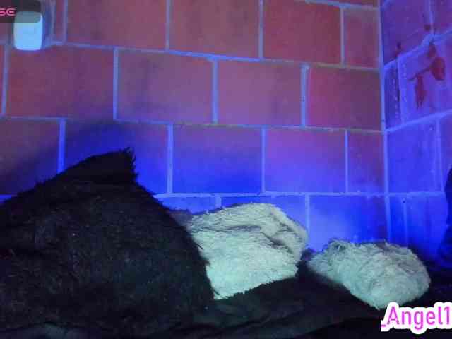 cata-anngel webcam