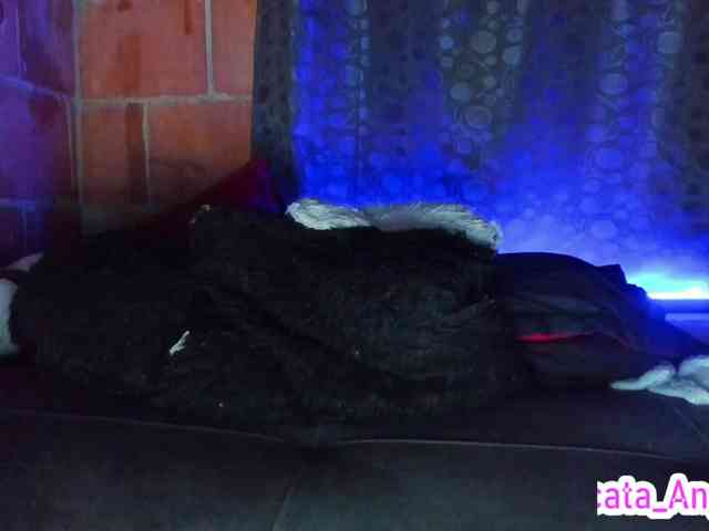 cata-anngel webcam
