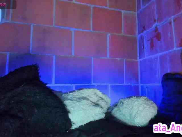cata-anngel webcam