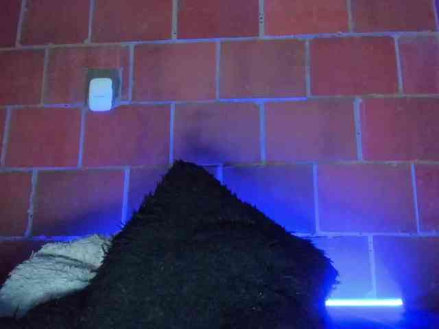 cata-anngel webcam