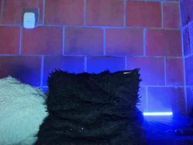 cata-anngel webcam