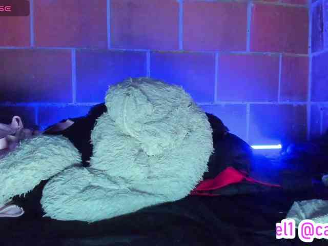 cata-anngel webcam