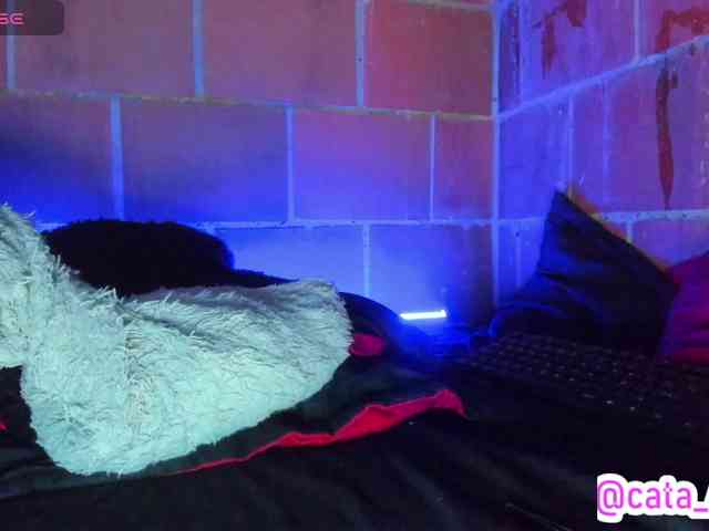 cata-anngel webcam