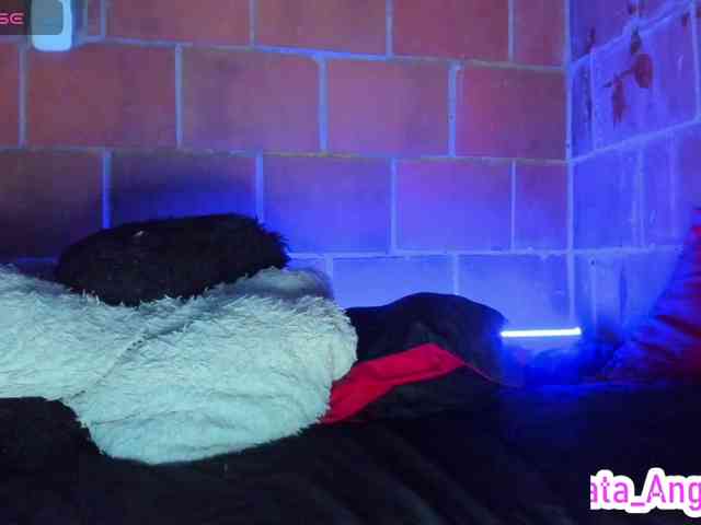 cata-anngel webcam
