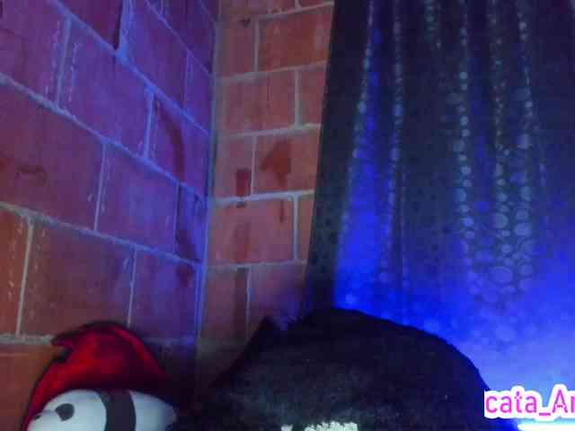 cata-anngel webcam