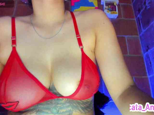 cata-anngel webcam