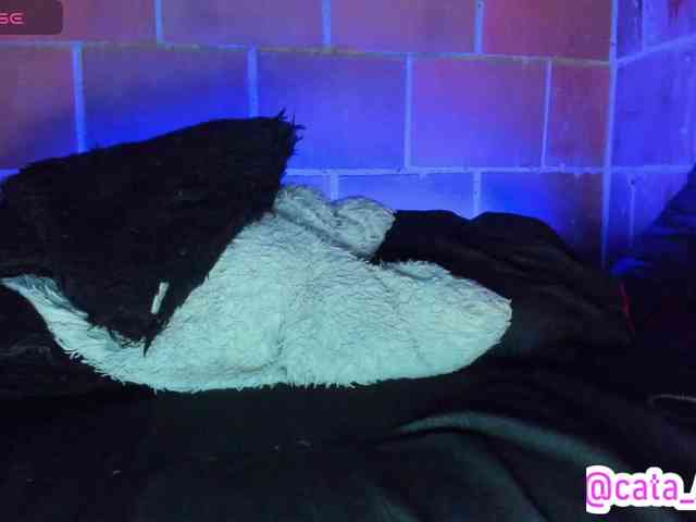 cata-anngel webcam