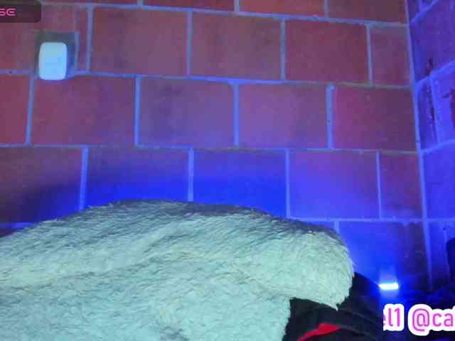 cata-anngel webcam