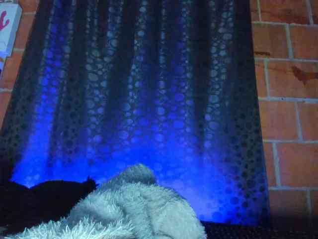 cata-anngel webcam