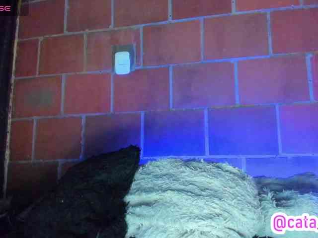 cata-anngel webcam