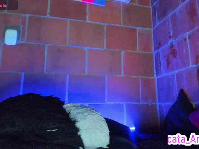 cata-anngel webcam