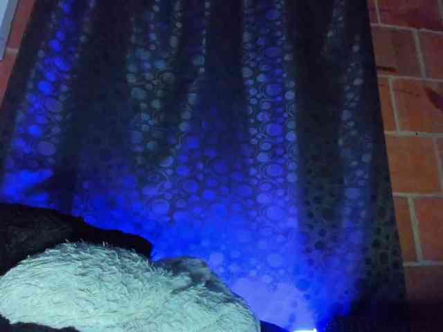 cata-anngel webcam