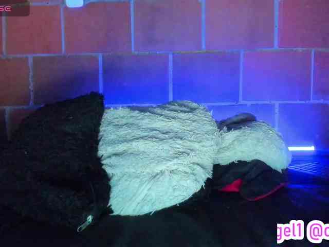 cata-anngel webcam