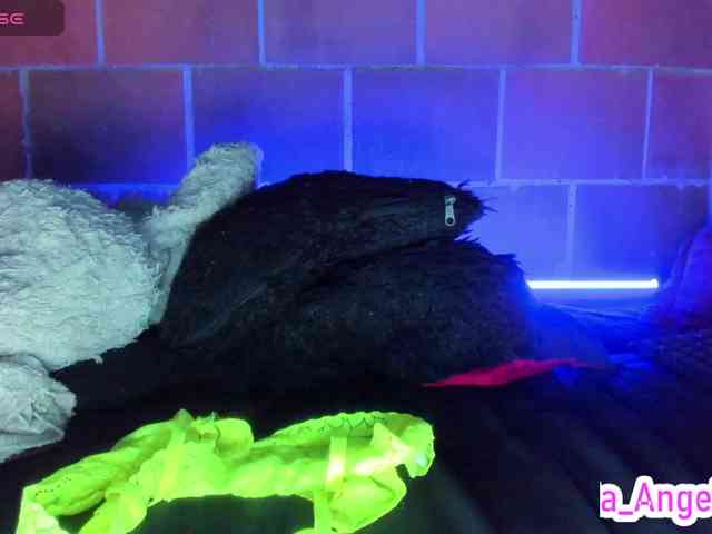 cata-anngel webcam
