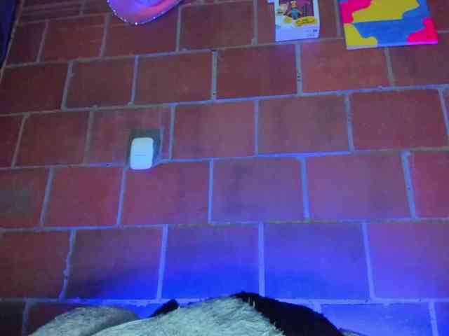 cata-anngel webcam