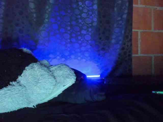 cata-anngel webcam