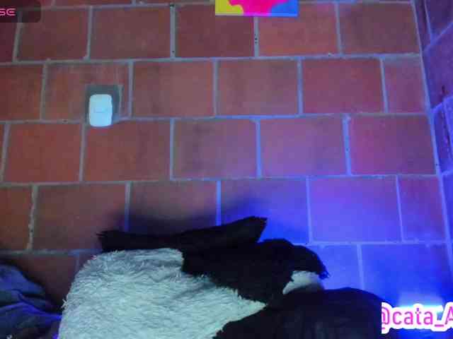 cata-anngel webcam